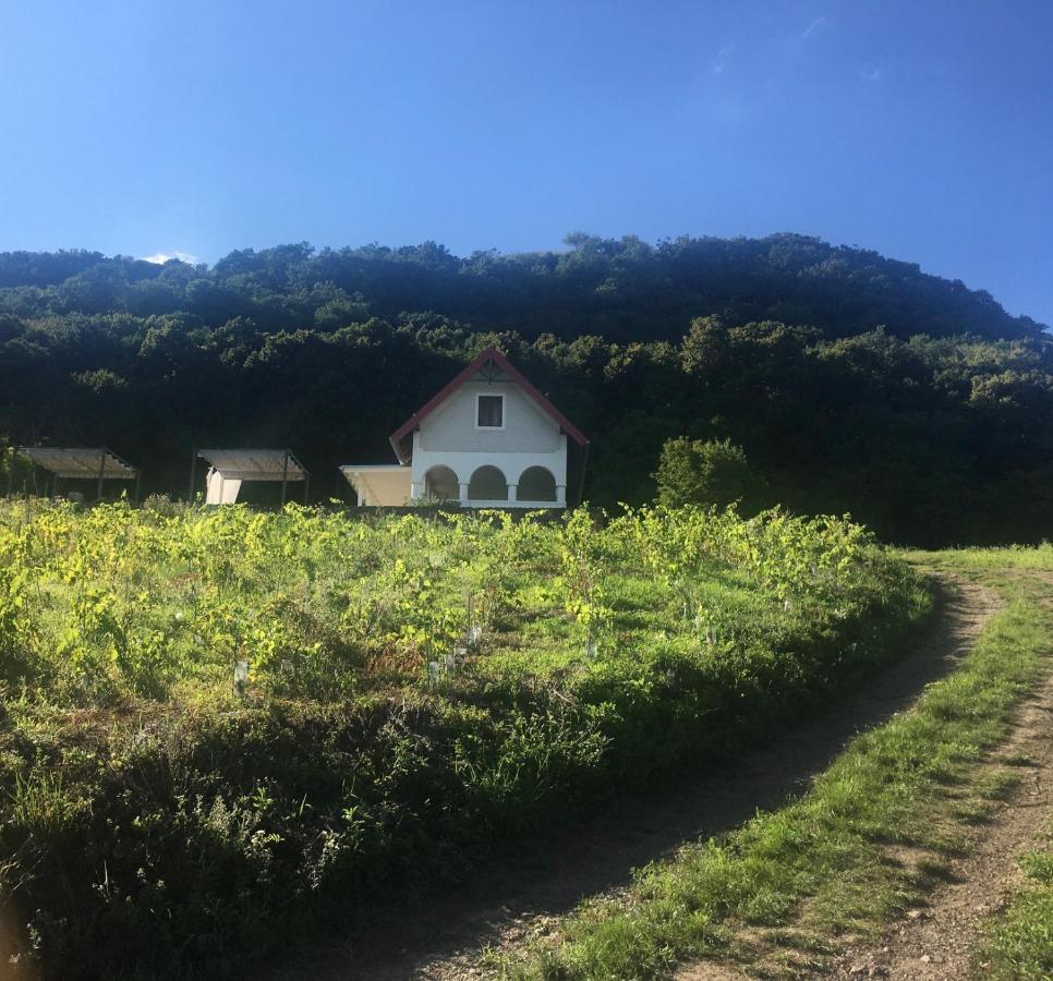Chateau Segesdi Borapartman Gyulakeszi Экстерьер фото