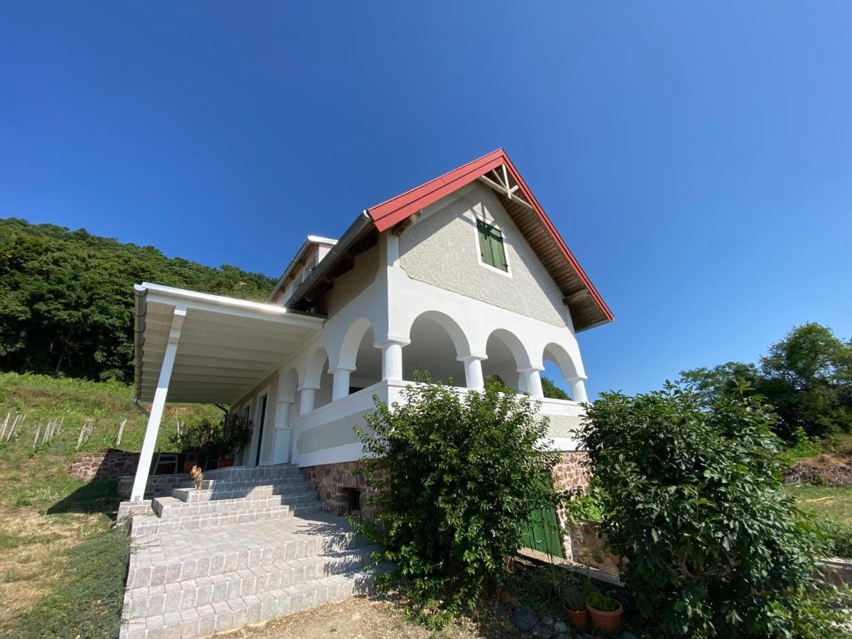 Chateau Segesdi Borapartman Gyulakeszi Экстерьер фото